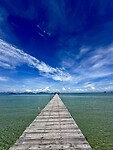 IMG_7994