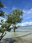 IMG_7989