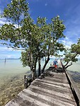 IMG_7988