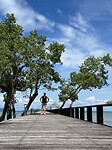 IMG_7987