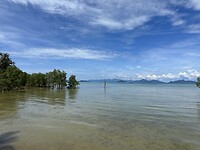 IMG_7983