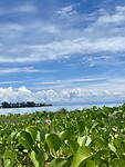 IMG_7982