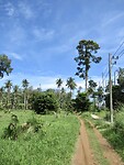 IMG_9169
