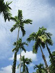 IMG_9168