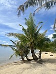 IMG_7960