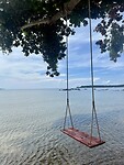 IMG_7959