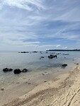 IMG_7958