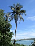 IMG_9162