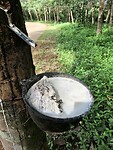 IMG_9155