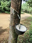 IMG_9154