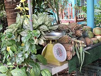IMG_9151