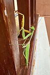 IMG_7956