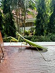 IMG_7954