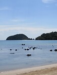 IMG_9239