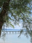 IMG_9238
