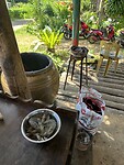 IMG_8140