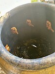 IMG_8135
