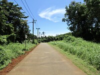 IMG_9229
