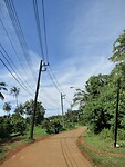 IMG_9228