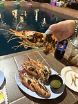IMG_8513