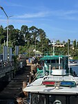 IMG_8410