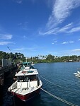 IMG_8409