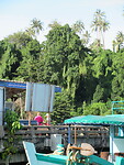 IMG_9287