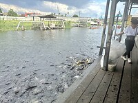 IMG_8749