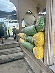 IMG_8739