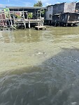 IMG_8669