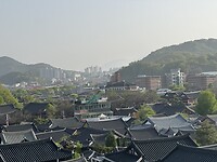 IMG_0257