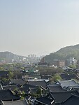 IMG_0256