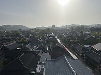IMG_0249