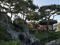 IMG_0247