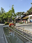 IMG_0244