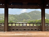 IMG_0239