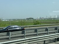 IMG_0232