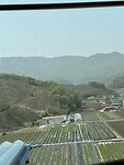 IMG_0227
