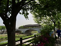 IMG_9881