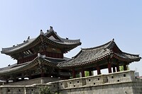 IMG_9871