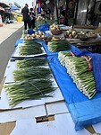 IMG_0351