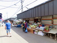 IMG_9866