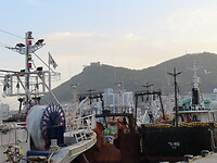 IMG_9905