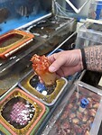 IMG_0421