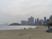 IMG_9890