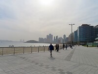 IMG_9888
