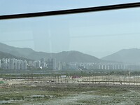 IMG_0391