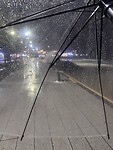 IMG_0511