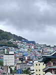 IMG_0543