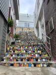 IMG_0534